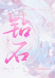 钻石NPC的精灵有哪些