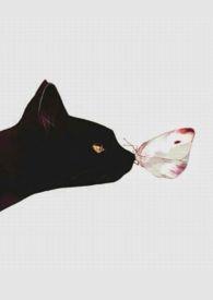 人间好时节忘忧