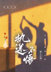 执迷不悟在线阅读