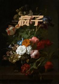 疯子txt