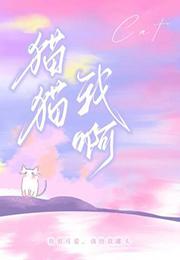 猫猫我啊阿阮有酒免费阅读