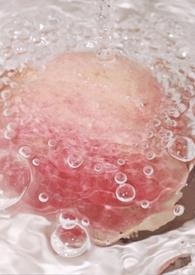 被俘虏的美人by冉冉