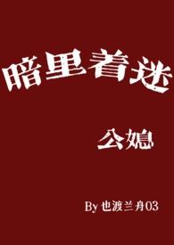 暗里着迷笔趣阁