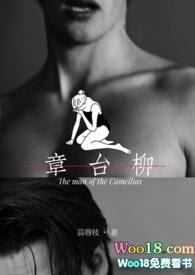 章台柳by娱乐圈