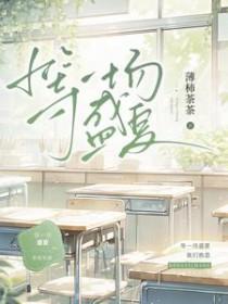 等一场盛夏在线阅读无弹窗