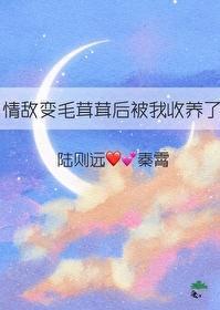 情敌变成我的猫怎么办在线等急