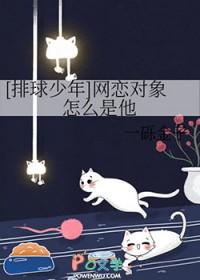 排球少年cp热度