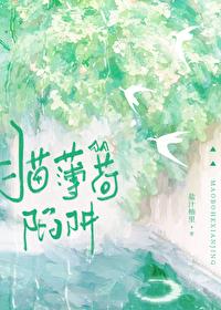 猫薄荷陷阱百度txt
