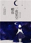 赠你一夜星空完结