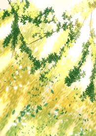 阴暗普女但第三者免费阅读