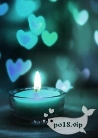 重生后发现自己夫君黑化了txt