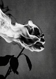 禁中非烟by锦焕免费观看