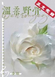 温柔野骨by澜笙txt