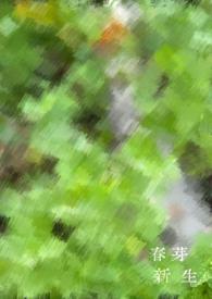 新芽官网