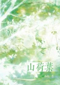山荷叶花为什么叫繁音