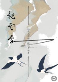 观云浓香型52度酒价格及图片大全