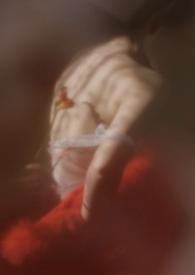 狐狸作者