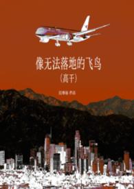 像无法落地的飞鸟高干