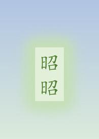 昭昭全部