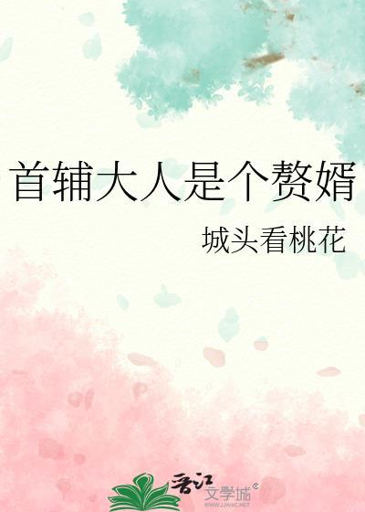 首辅大人是个赘婿TXT