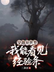 我能看见经验条(1-465)