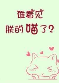 谁看见朕的喵了番外txt