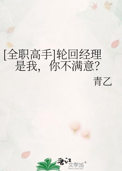 全职高手轮回经理是我你不满意?TXT