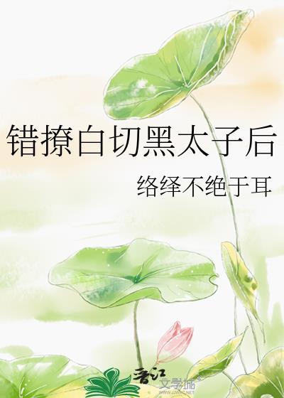 错撩白切黑太子后免费观看