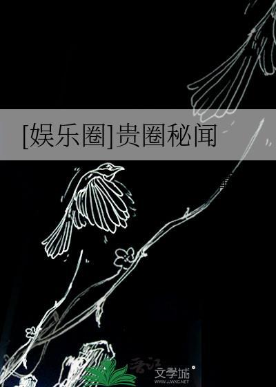 贵圈有多乱 内容真实吗