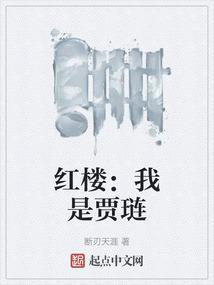 红楼之我是贾琏他哥在线阅读