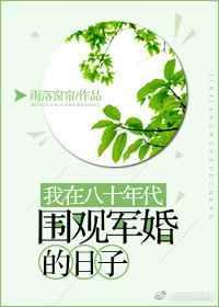我在80年代围观军婚的日子乐文