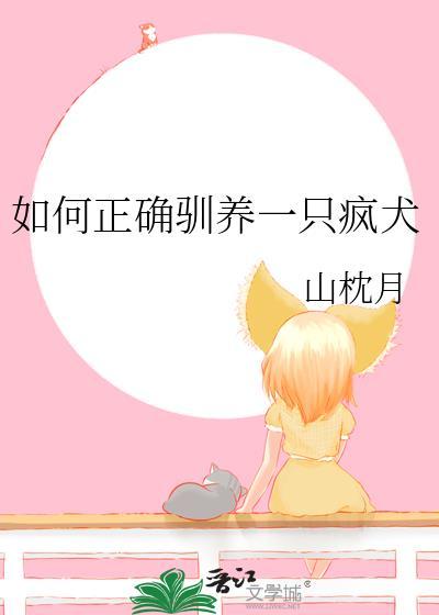 如何驯养一只狗