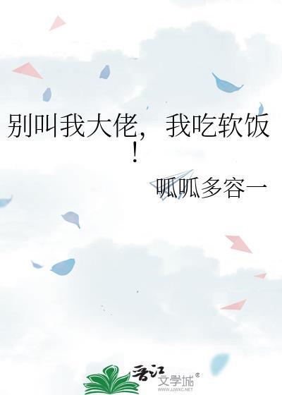 别叫我大人新书