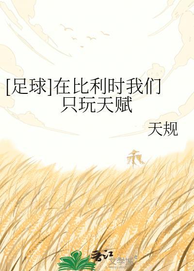 比利时fn