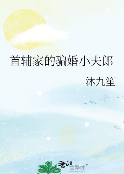 首辅家的骗婚小夫郎免费阅读全文