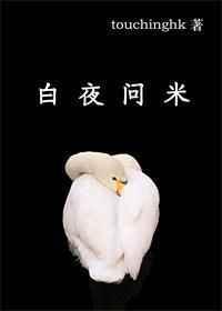白夜问米TXT百度