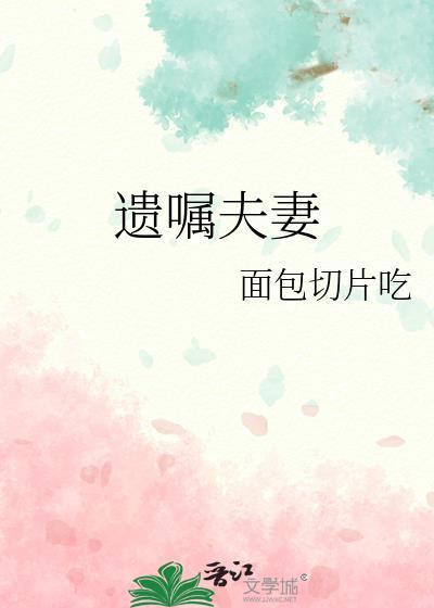 遗嘱夫妻by面包切片吃