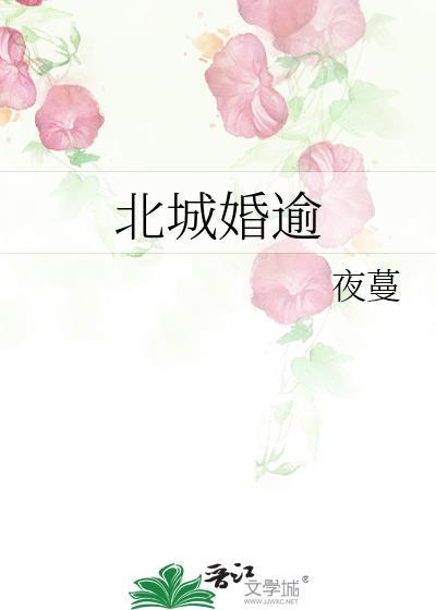 北城喜事全文阅读