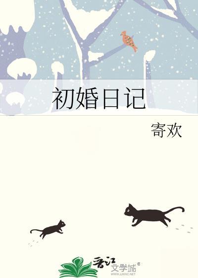 初婚日记免费阅读