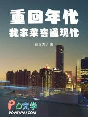 重回年代:我家菜窖通现代