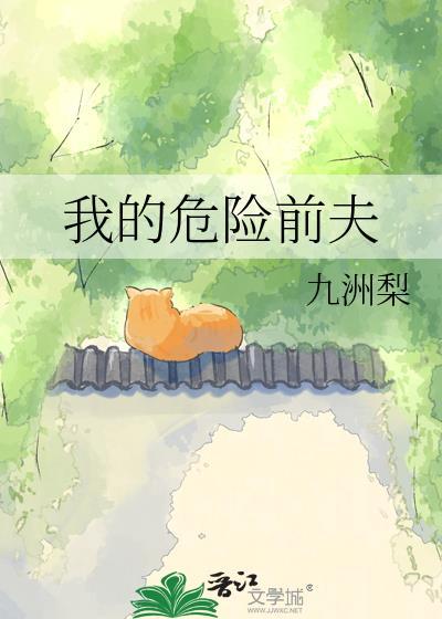 我的危险前夫